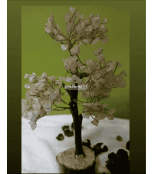 Rose Quartz tree 300 beads